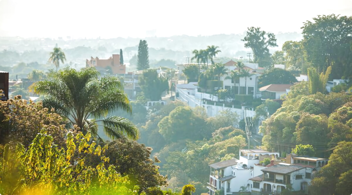 I nostri servizi di noleggio auto offrono una vasta selezione di veicoli a Cuernavaca.